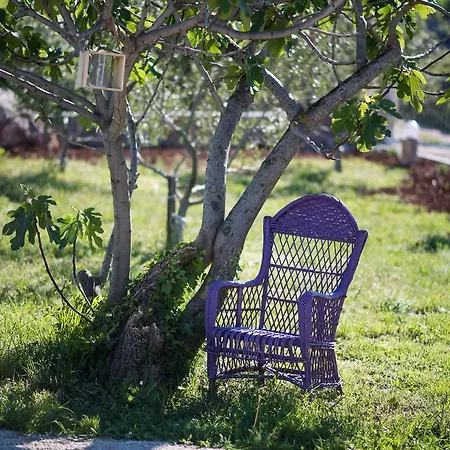 Mobile Homes Ulika Vakantiepark 4*